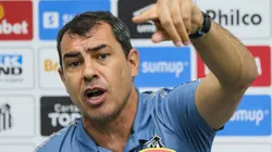 Fábio Carille, treinador do Santos (Foto: Luiz Erbes/AGIF)