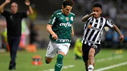 Atlético-MG tem pedido negado pela Conmebol para anular gol do Palmeiras na semifinal da Copa Libertadores. (Foto: Getty Images)