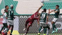 América-MG x Palmeiras; prognósticos do jogo da 24ª rodada (Foto: Cesar Greco/Palmeiras)