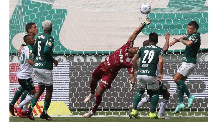 América-MG x Palmeiras; prognósticos do jogo da 24ª rodada (Foto: Cesar Greco/Palmeiras)