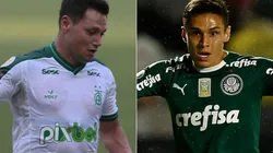 América-MG e Palmeiras se enfrentam nesta quarta-feira (Foto: Gil Gomes/AGIF e Getty Images)