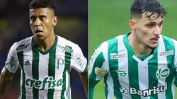 Palmeiras e Juventude se enfrentam neste domingo (Foto: Getty Images e Pedro H. Tesch/AGIF)