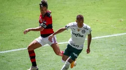 Flamengo e Palmeiras estarão frente a frente na final da Copa Libertadores (Foto: Getty Images)