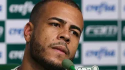 Fotos: Cesar Greco - Sociedade Esportiva Palmeiras