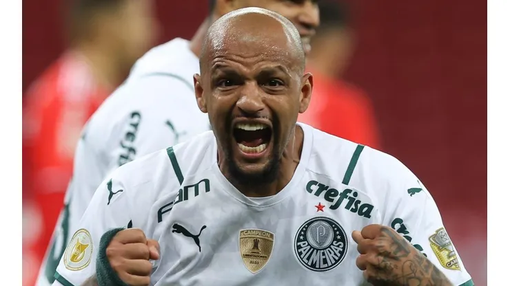 Felipe Melo: contrato até dezembro (Foto: Cesar Greco/Palmeiras/Divulgação)