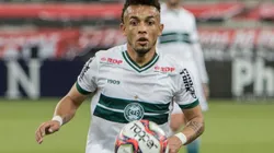Rafinha: medalhão pode ganhar sequência (Foto: Robson Mafra/AGIF)