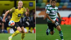 Borussia Dortmund x Sporting: data, hora e canal para assistir essa grande partida da Champions League
