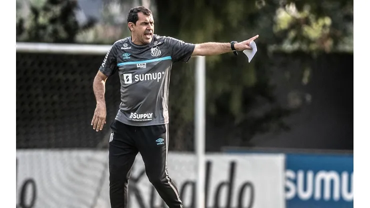 Fábio Carille relacionou 23 jogadores para a partida contra o Juventude (Foto: Ivan Storti/Santos FC)