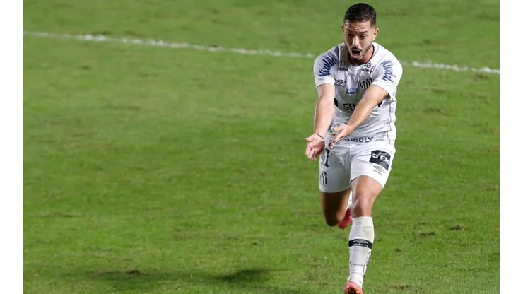Santos vive momento crítico na temporada