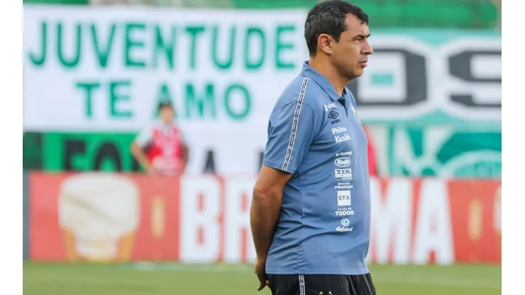 O treinador do Peixe, Fábio Carille. (Foto: Luiz Erbes/AGIF)