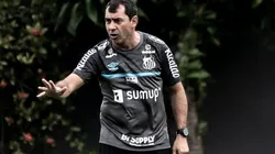 Foto: Ivan Storti/Santos FC