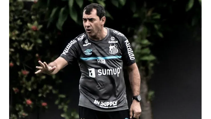 Foto: Ivan Storti/Santos FC