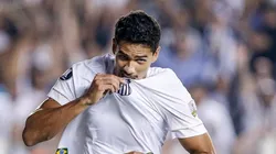 Foto: Marcello Zambrana/AGIF