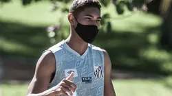 Foto: Ivan Storti/Santos FC