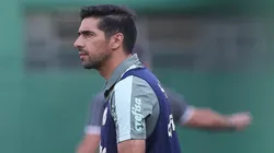 (Foto: Cesar Greco/Flickr Oficial Palmeiras/Divulgação)