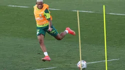 Foto: César Greco/ Palmeiras