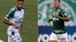 Chapecoense x Palmeiras têm encontro marcado hoje, pelo Brasileirão