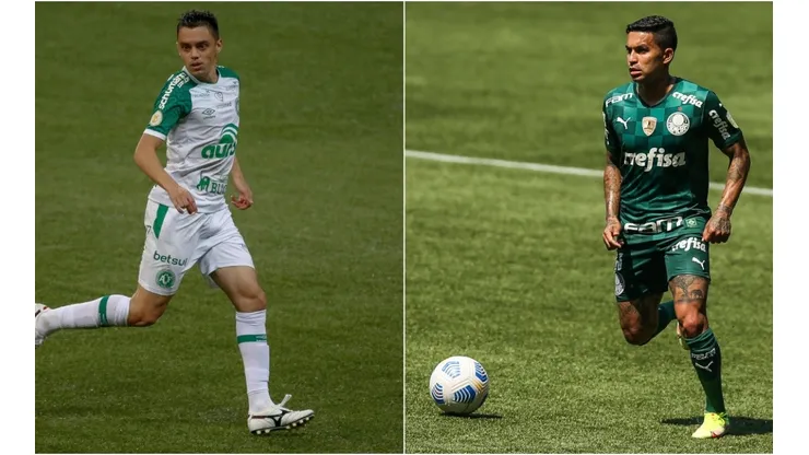 Chapecoense x Palmeiras medem forças neste sábado, 18, pela 21ª rodada do Brasileirão