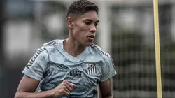 Foto: Ivan Storti/Santos FC