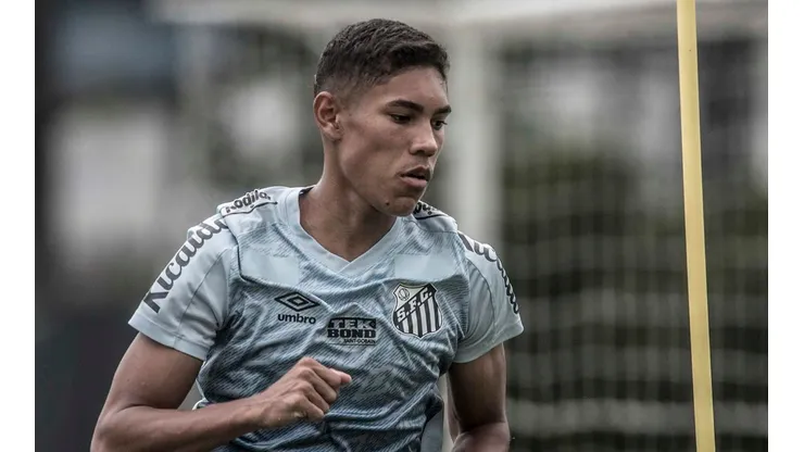 Foto: Ivan Storti/Santos FC