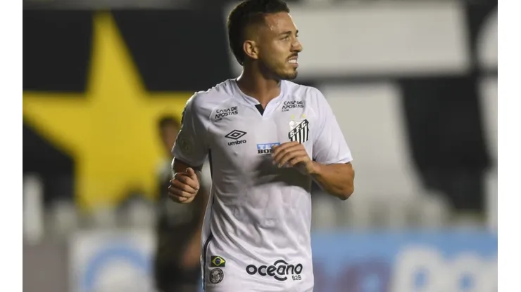 Foto: Ivan Storti/Santos FC