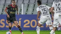 Santos entrará na justiça por irregularidade do Flamengo em jogo do Brasileirão. (Foto: Alexandre Vidal / Flamengo)