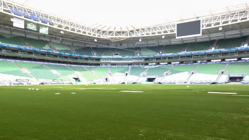 Foto: (Foto: Fabio Menotti)