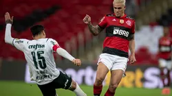 Palmeiras e Flamengo farão mais um duelo neste domingo (12) pelo Campeonato Brasileiro (Foto: Jorge Rodrigues/AGIF)