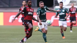 Palmeiras x Flamengo entram em campo neste domingo (12), às 16 horas.