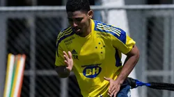 Zé Eduardo: segue afastado dos gramados (Foto: Gustavo Aleixo/Cruzeiro/Divulgação)