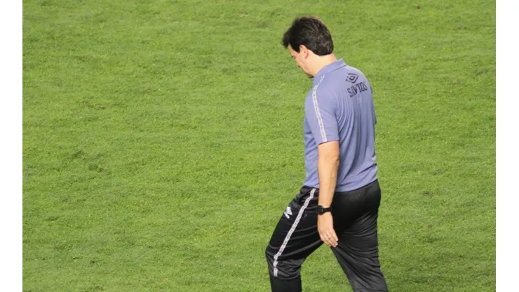 Santos está conversando com dois técnicos para fechar o substituto de Fernando Diniz. (Foto: Fernanda Luz/AGIF)