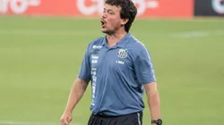 Torcida do Santos se irrita com atuação da equipe e #ForaDiniz chega aos trending topics do Twitter no Brasil. (Foto: Robson Mafra/AGIF)