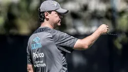 Foto: Ivan Storti/Santos FC