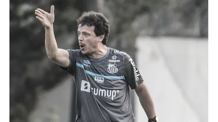 Foto:Ivan Storti/ Santos FC