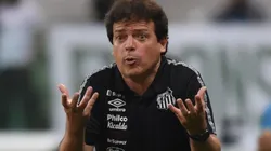 Foto: Ivan Storti/Santos FC