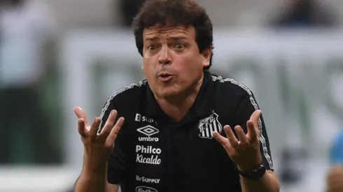 Foto: Ivan Storti/Santos FC