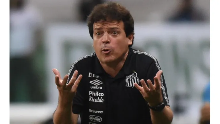Foto: Ivan Storti/Santos FC