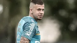Foto: Ivan Storti/Santos FC