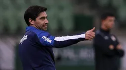 (Foto: Cesar Greco/Palmeiras)