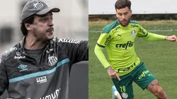 Foto: Fernando Diniz - Flickr Oficial Santos Futebol Clube - Foto: Lucas Lima - Flickr Oficial Sociedade Esportiva Palmeiras