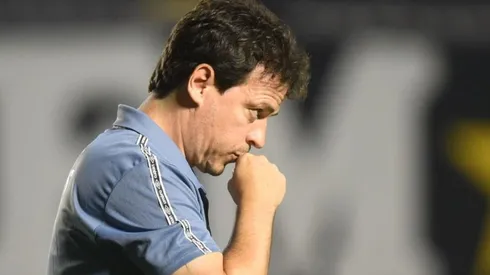 Foto: Ivan Storti/Santos FC