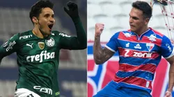 Palmeiras x Fortaleza: Data, hora e canal para assistir esse duelo do Campeonato Brasileiro. (Foto Kely Pereira/AGIF: