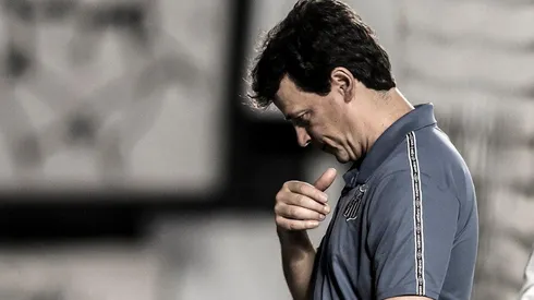 Foto: Ivan Storti/Santos FC