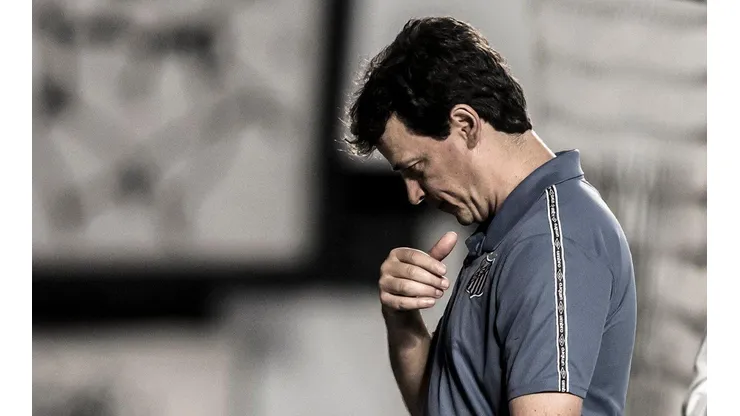 Foto: Ivan Storti/Santos FC