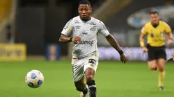 Foto: Ivan Storti/ Santos FC