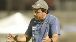 Foto: Ivan Storti/Santos FC