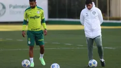 Novo reforço do Verdão está no BID e já pode estrear. (Foto: Cesar Greco/Palmeiras)