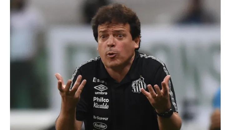 Foto: Ivan Storti/Santos FC