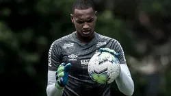 Foto: Ivan Storti/Santos FC