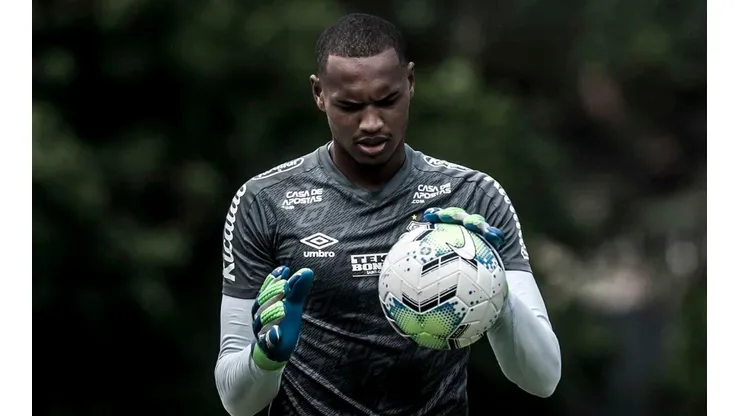 Foto: Ivan Storti/Santos FC